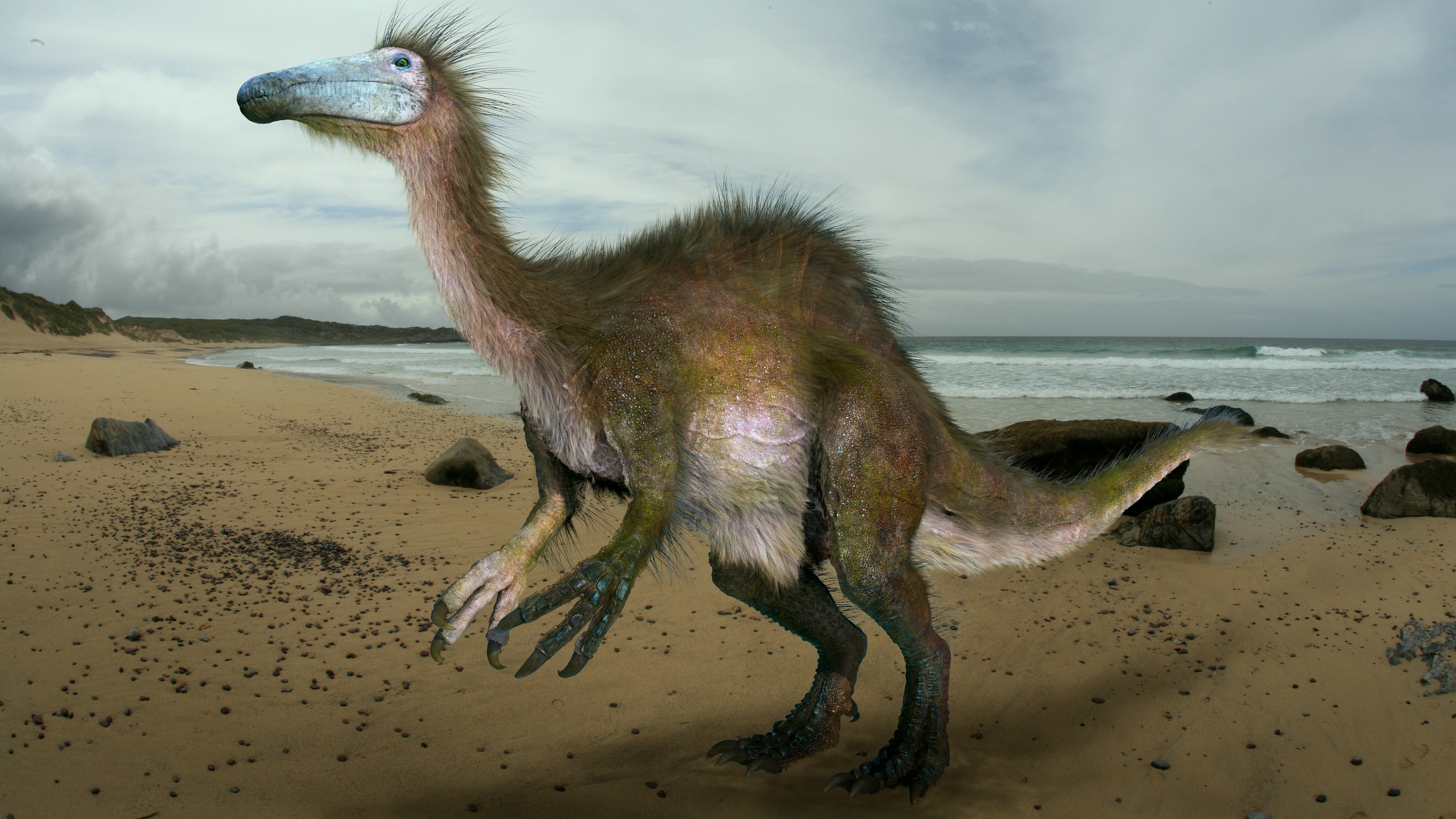 Deinocheirus Exposed: Meet The Body Behind the Terrible Hand