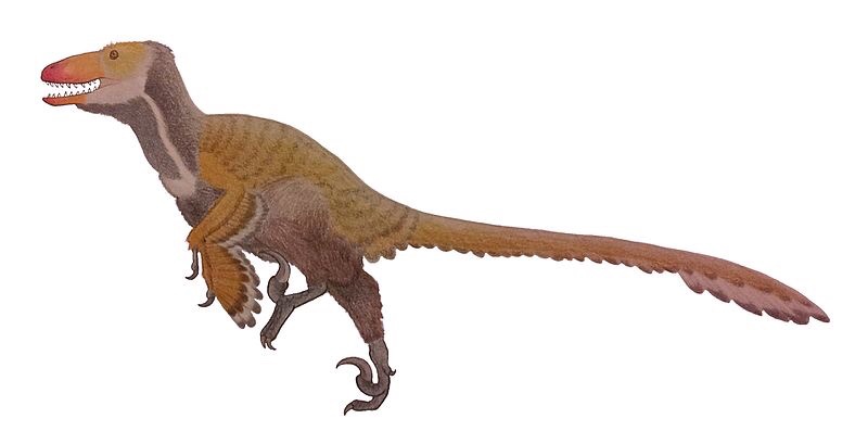 File:Deinocheirus Scale.svg - Wikipedia